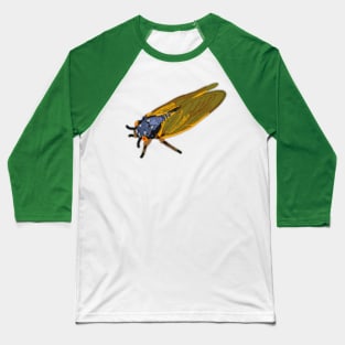 Cicada Baseball T-Shirt